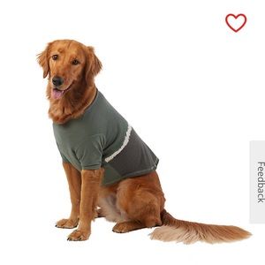 Green Striped Dog T-Shirt